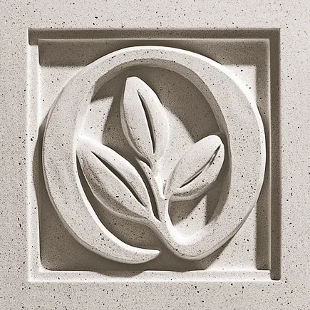 Private Residence | Architect: N/A | Design Shown: Leaves Medallion