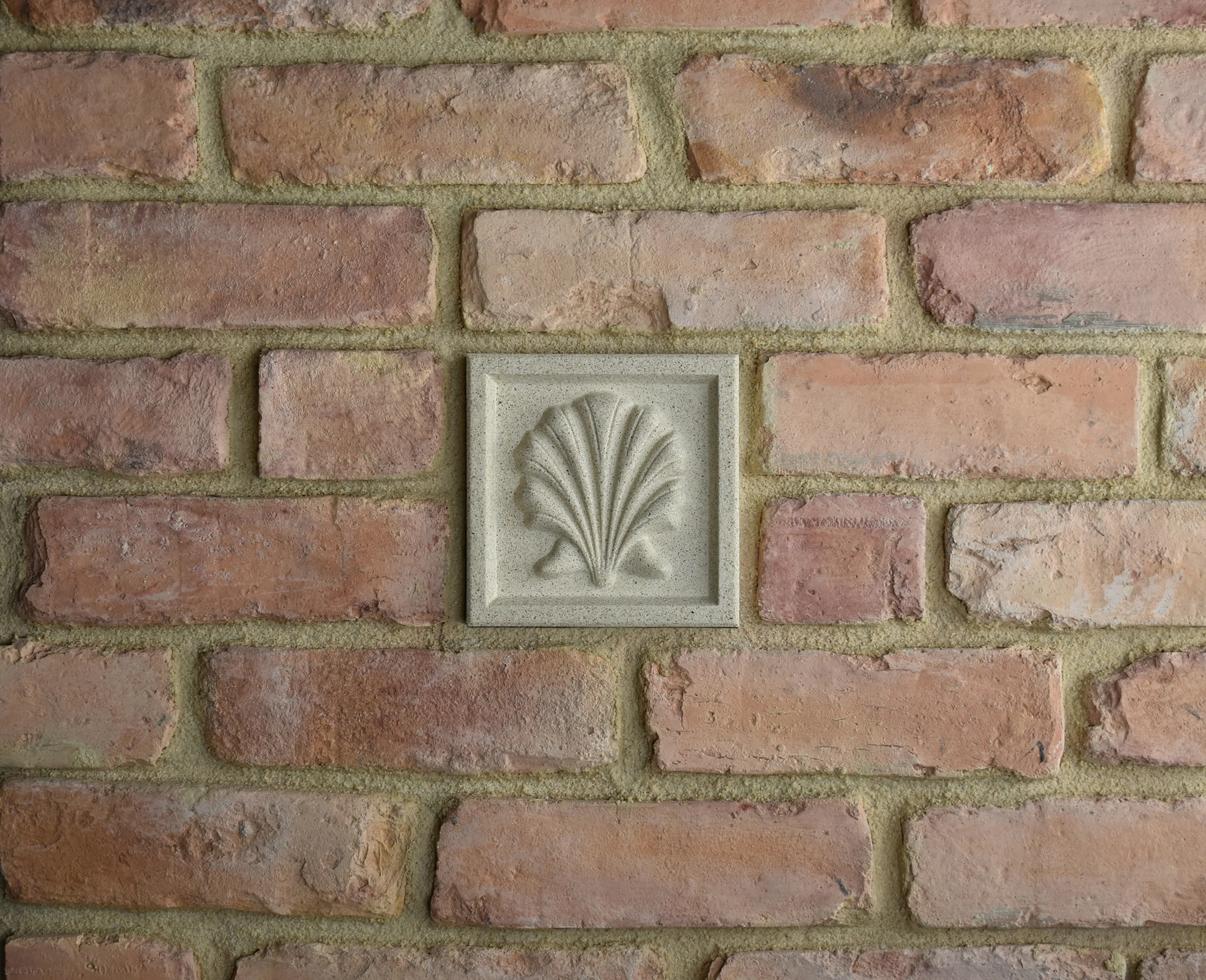Scallop Bas-Relief Cast Stone Masonry Insert Wall Accent by Pineapple Grove Designs