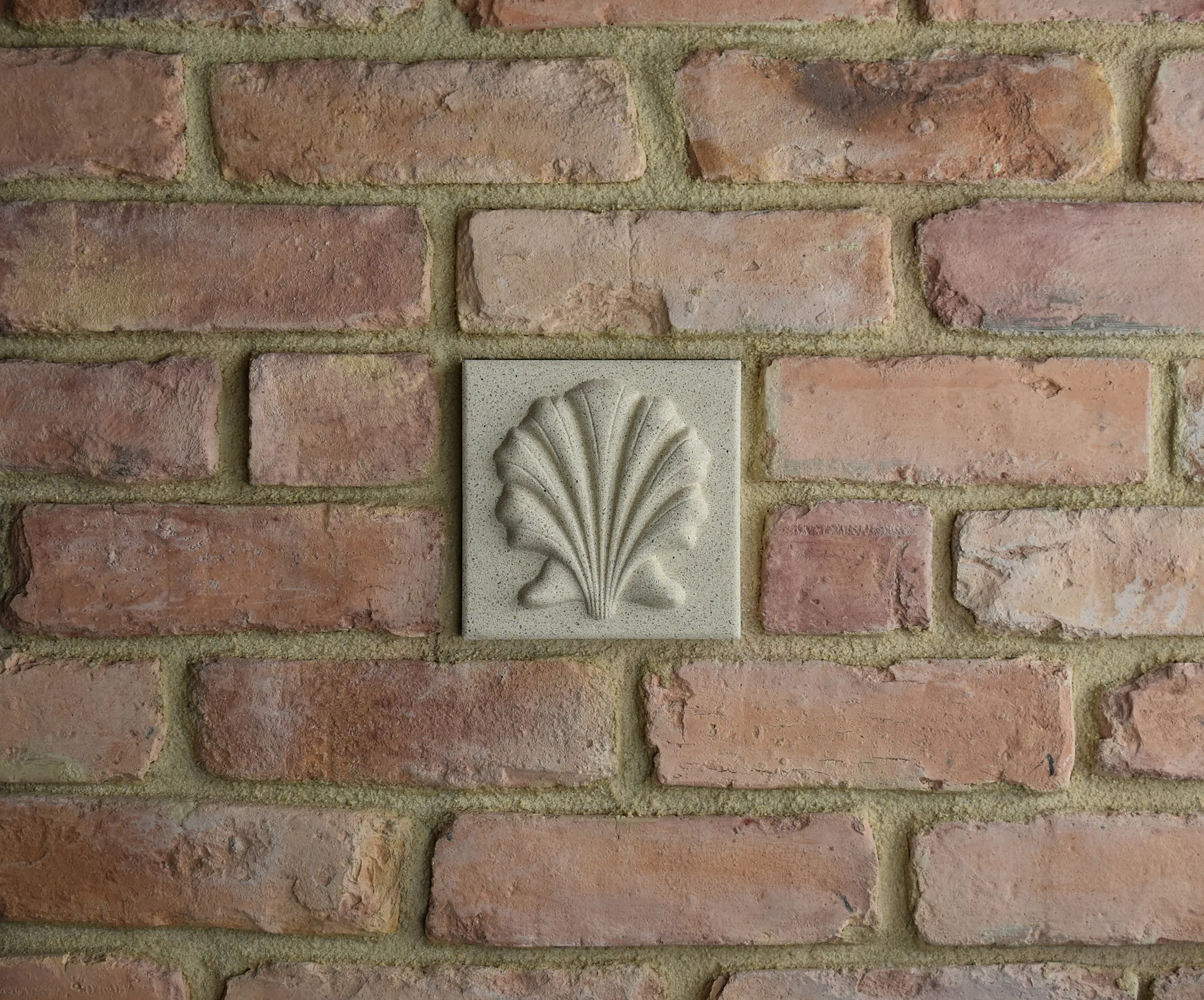 Scallop Bas-Relief Cast Stone Masonry Insert Wall Accent by Pineapple Grove Designs
