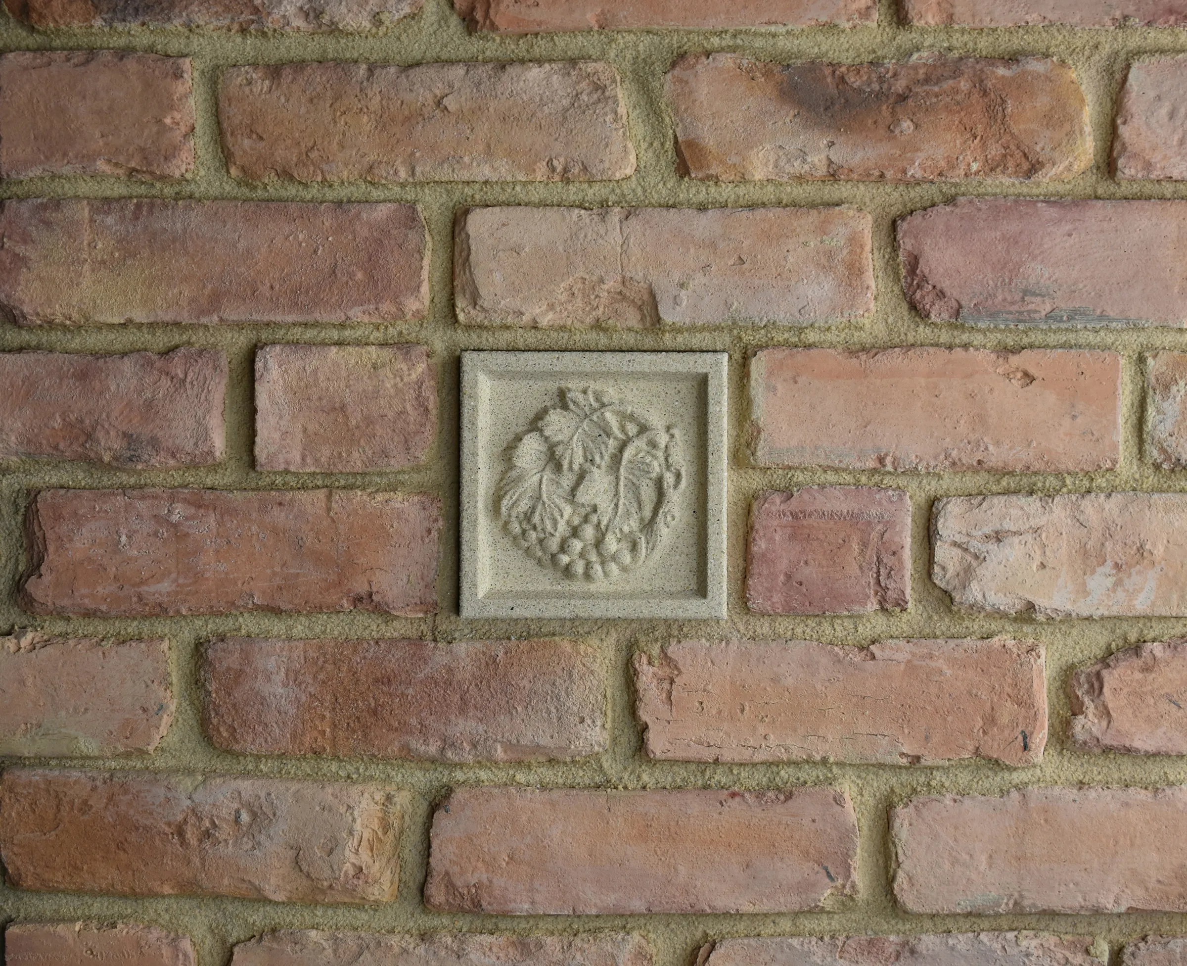 Grape Vine Bas-Relief Cast Stone Masonry Insert Wall Accent by Pineapple Grove Designs