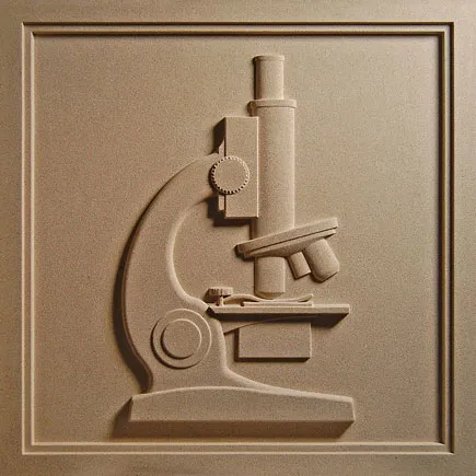 Kelly Middle School | Hartford, CT | Architect: Connecticut Mason Contractors, Inc. | Design(s) Shown: Microscope Medallion