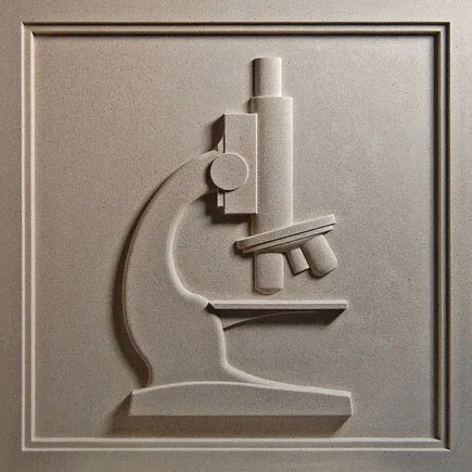 Lewis University Science Addition | Romeoville, IL | Architect: Cyberdyne Masonry | Design(s) Shown: Microscope Medallion