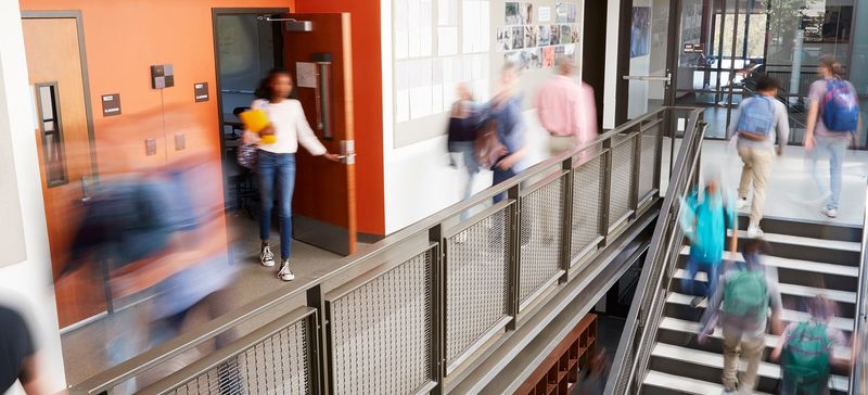 Schools & universities
