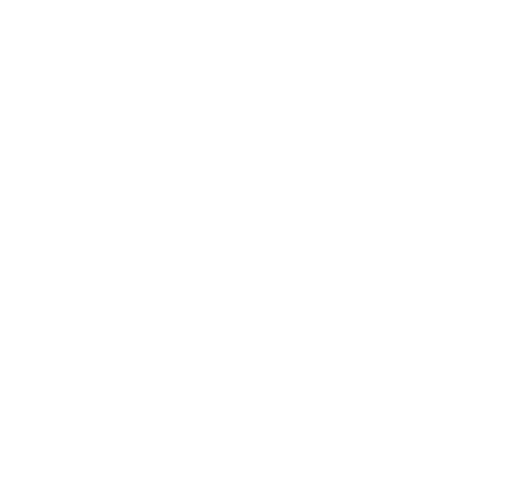 Broadlight Global Icon