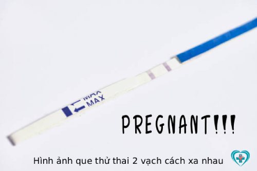 Hình ảnh que thử thai 2 vạch cách xa nhau