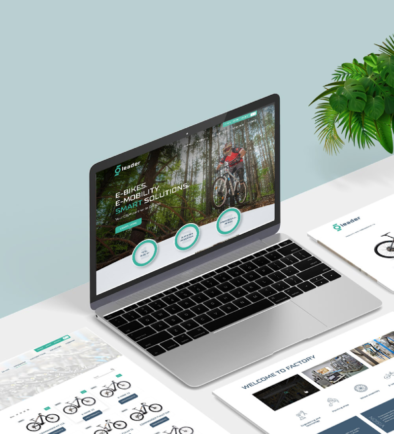 UI/UX design for Leader 96 official website project