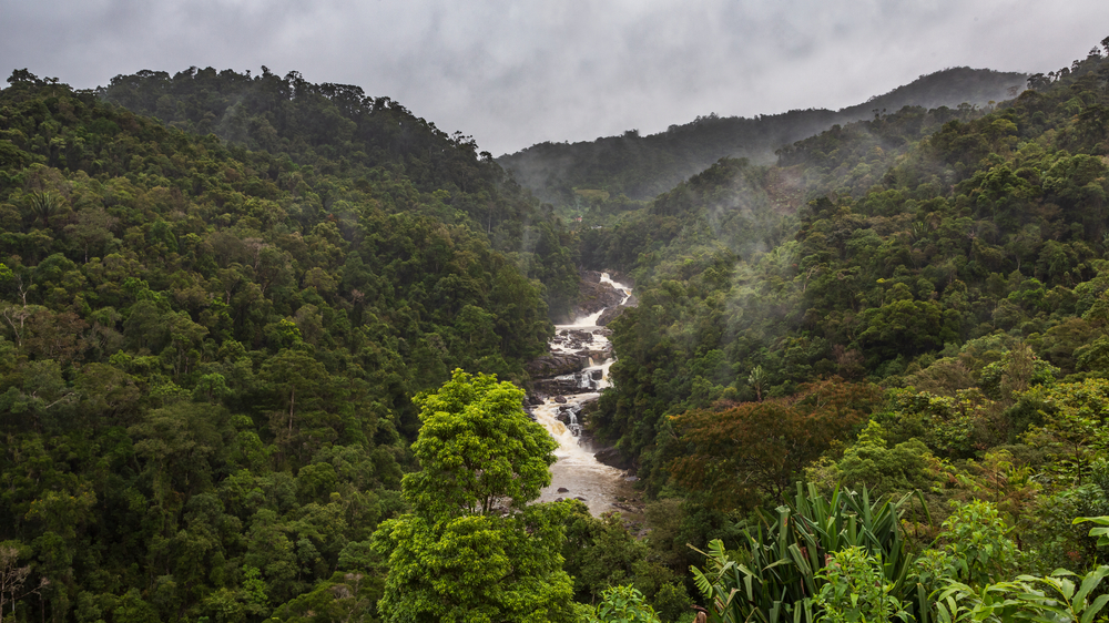 A landscape image of a green valley