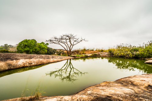 A small pool of water showing climate drought in Africa