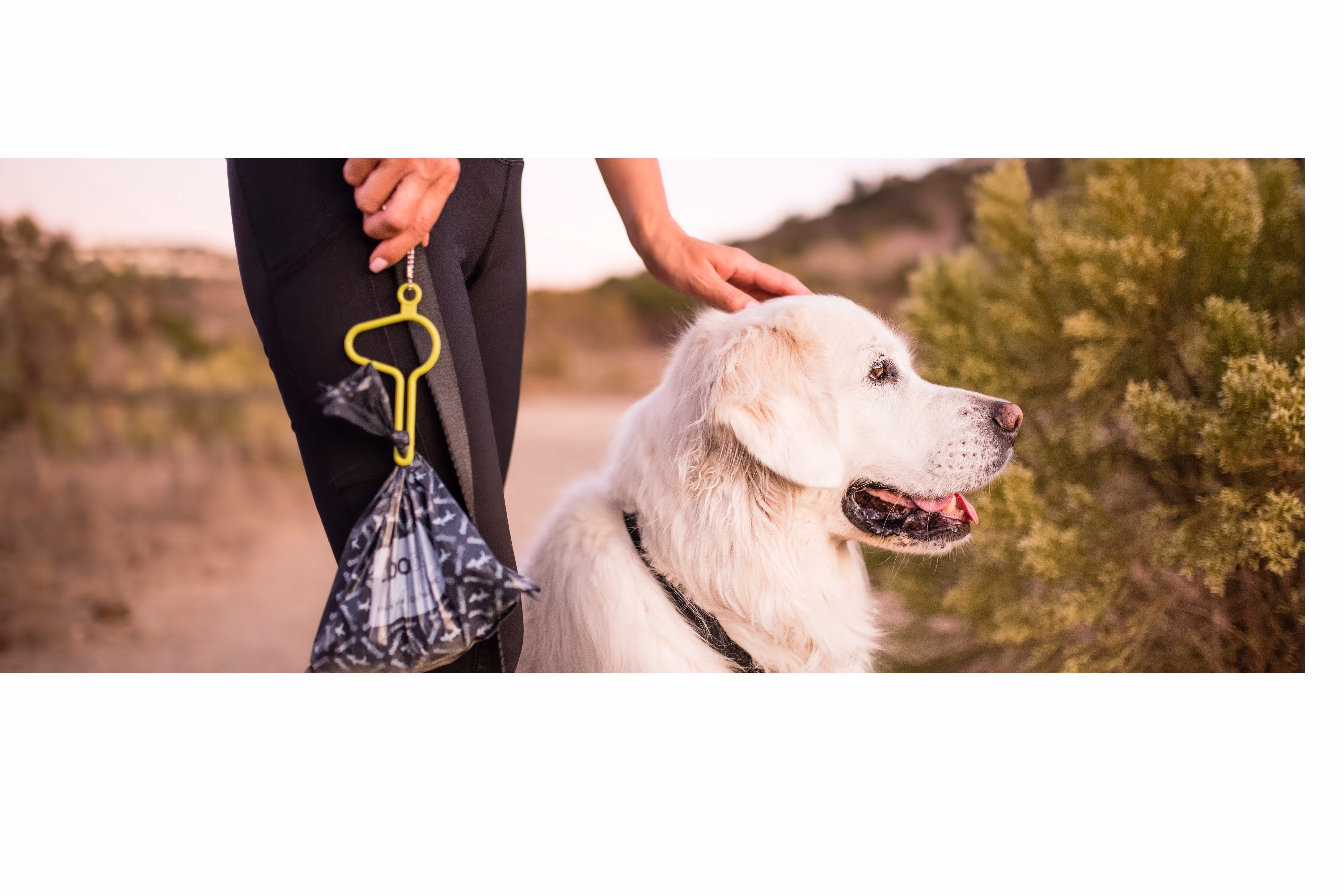 The dooloop — Maine Open Online