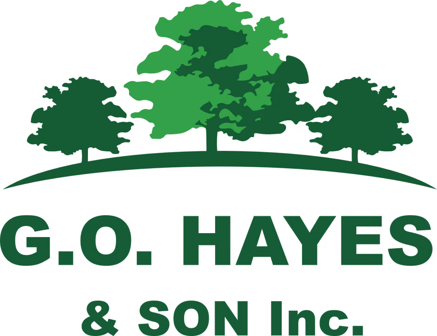 George O. Hayes & Son Mower Parts — Maine Open Online