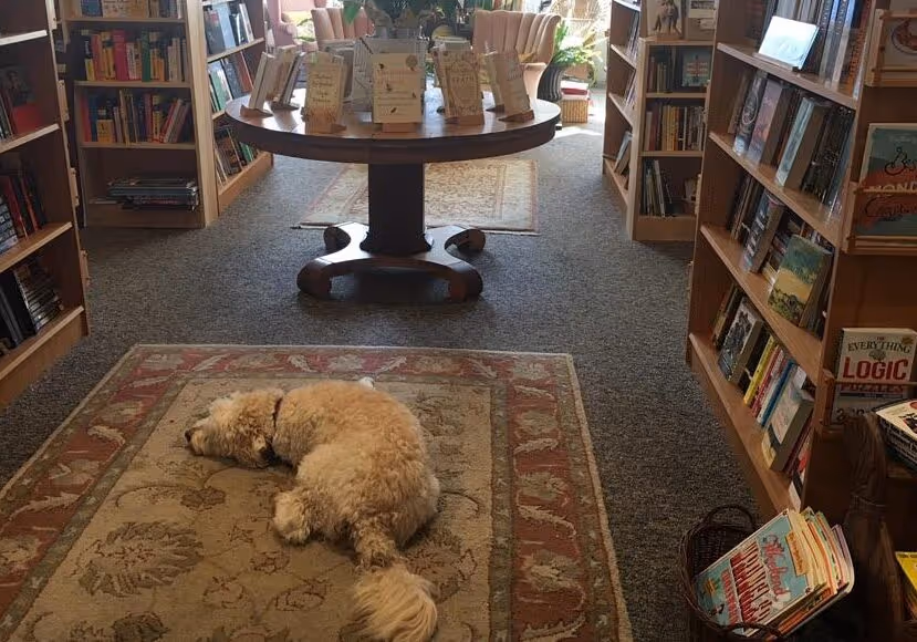 Left Bank Books
