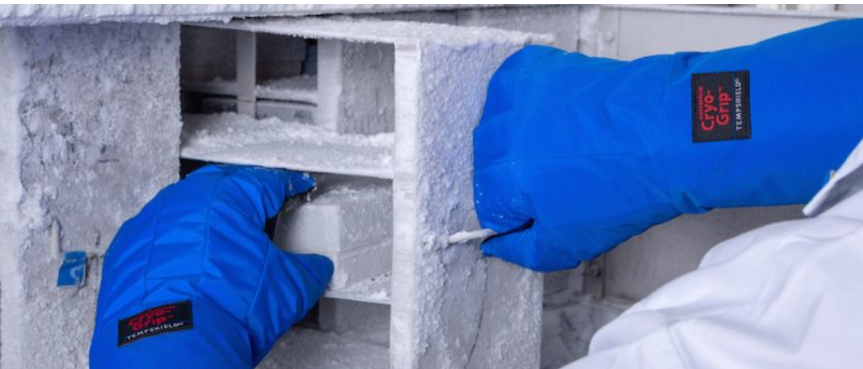 Tempshield — Maine Open Online