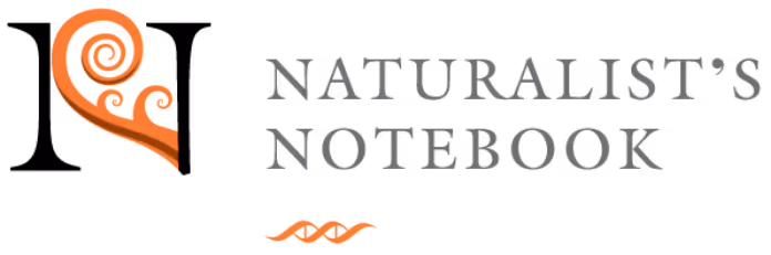 The Naturalist's Notebook — Maine Open Online