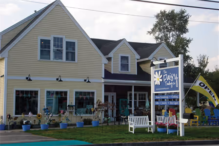 The Daisy Trading Company