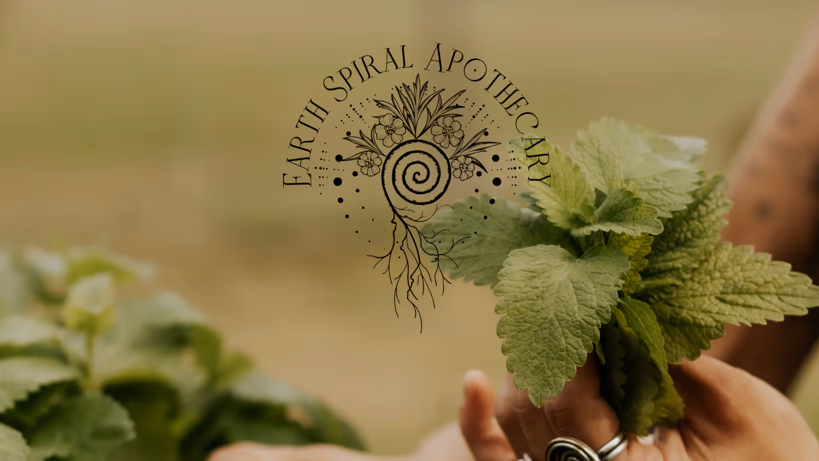 Earth Spiral Apothecary