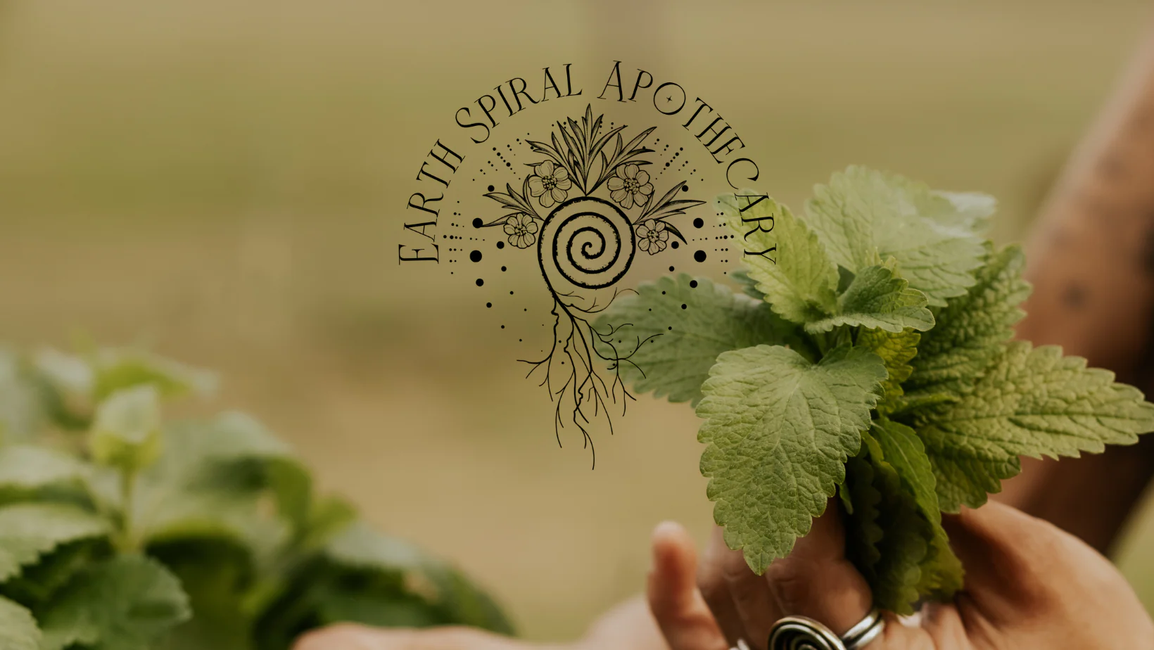 Earth Spiral Apothecary