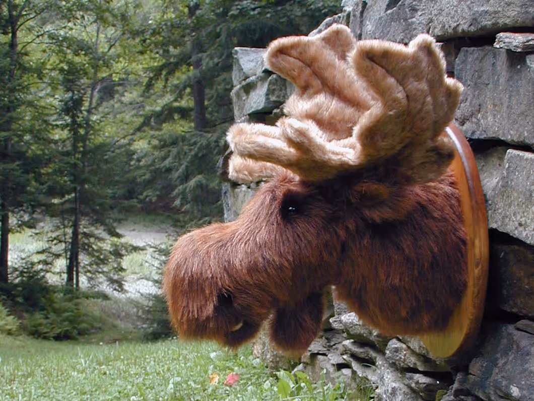 Fairgame Wildlife