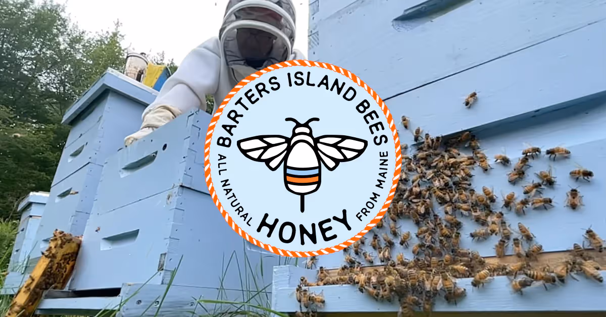 Barters Island Bees