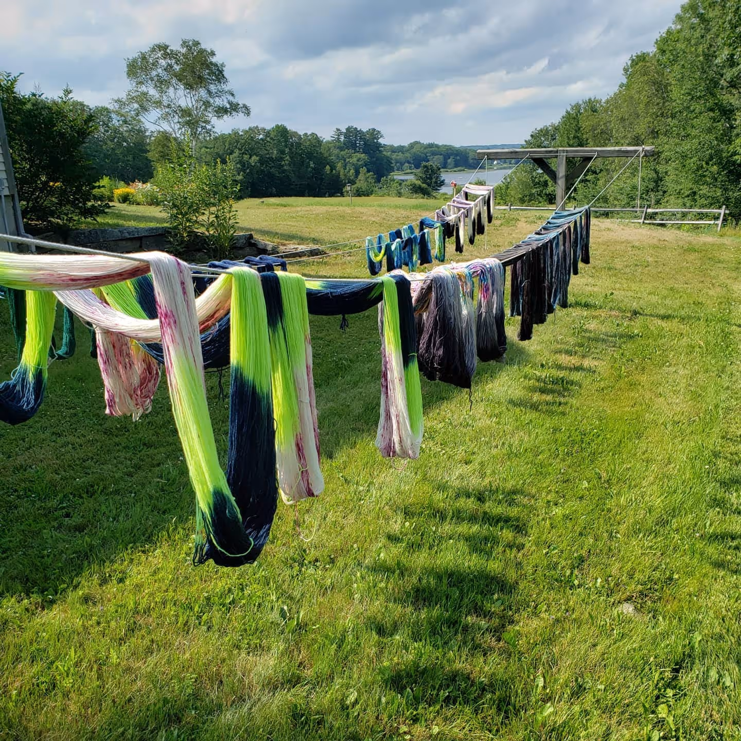 Snallygaster Fibers