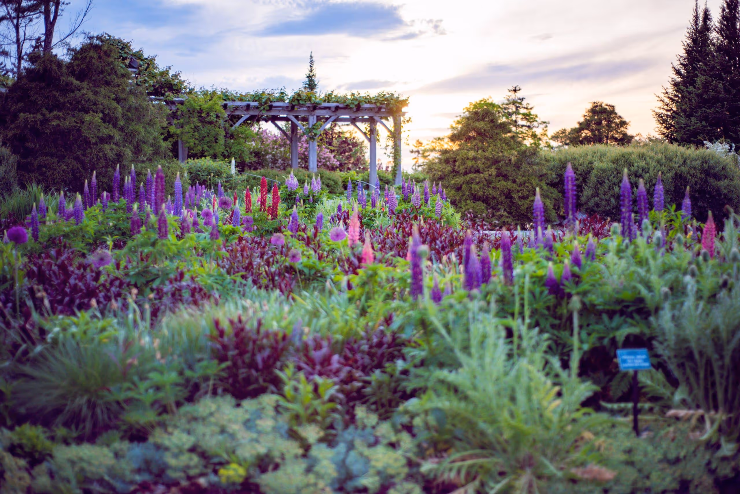 Coastal Maine Botanical Gardens