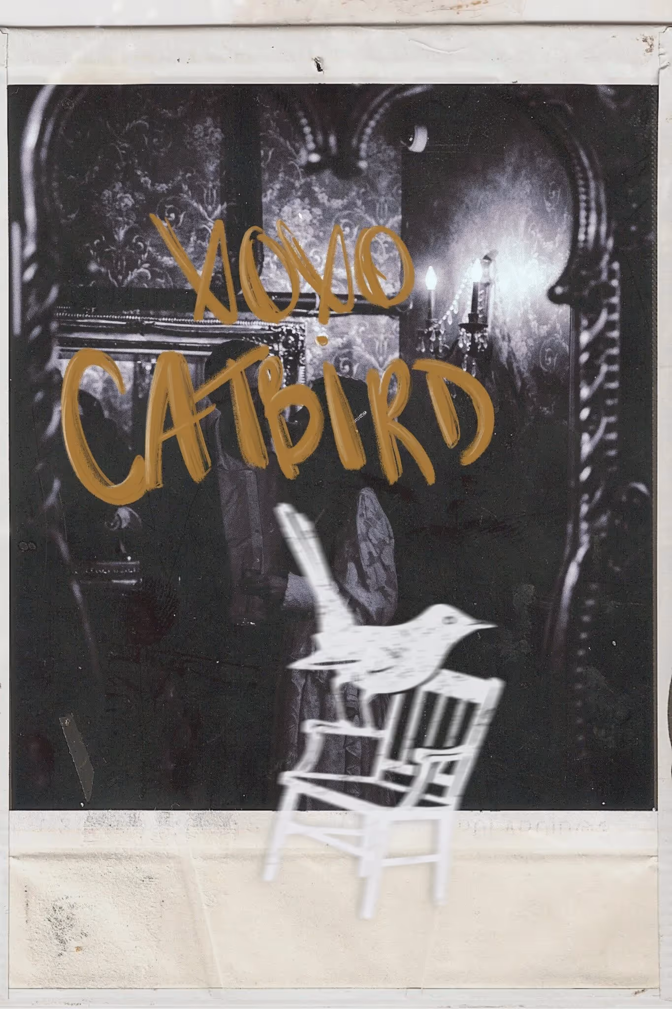 Catbird