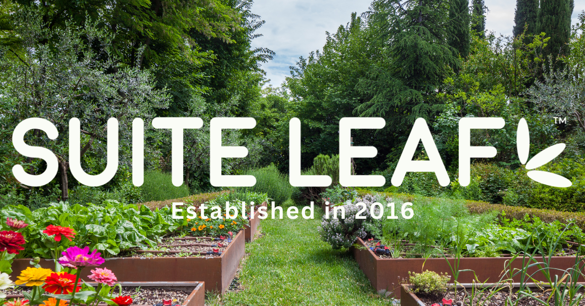 Suite Leaf Plant Nutrients — The Maine Field Guide