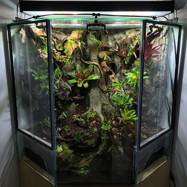 Custom Glass Terrariums — The Maine Field Guide