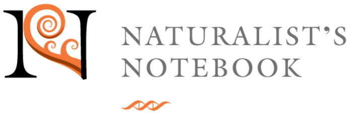 The Naturalist's Notebook — The Maine Field Guide