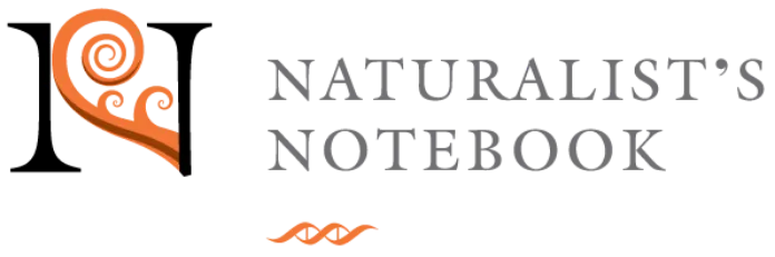 The Naturalist's Notebook — The Maine Field Guide