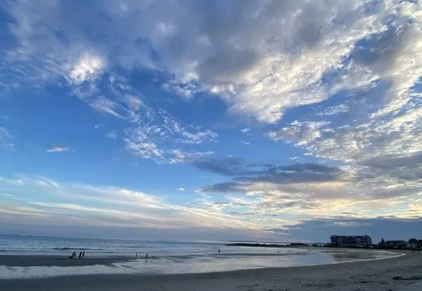 Beach Grass Shop — The Maine Field Guide