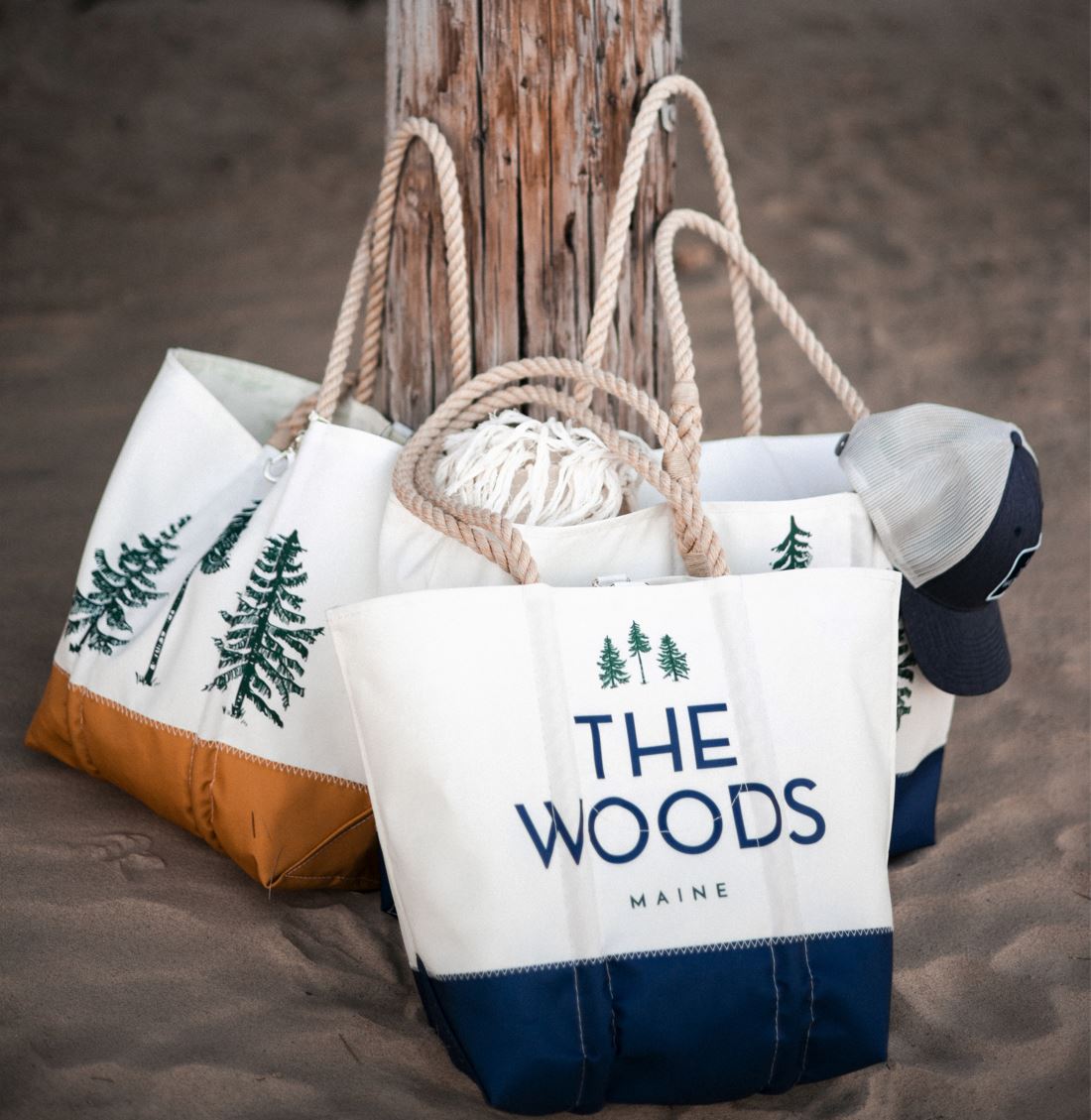 The Woods Maine — The Maine Field Guide