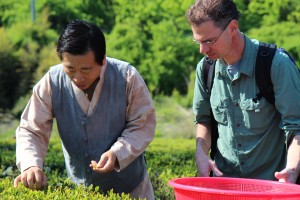 Teafarers