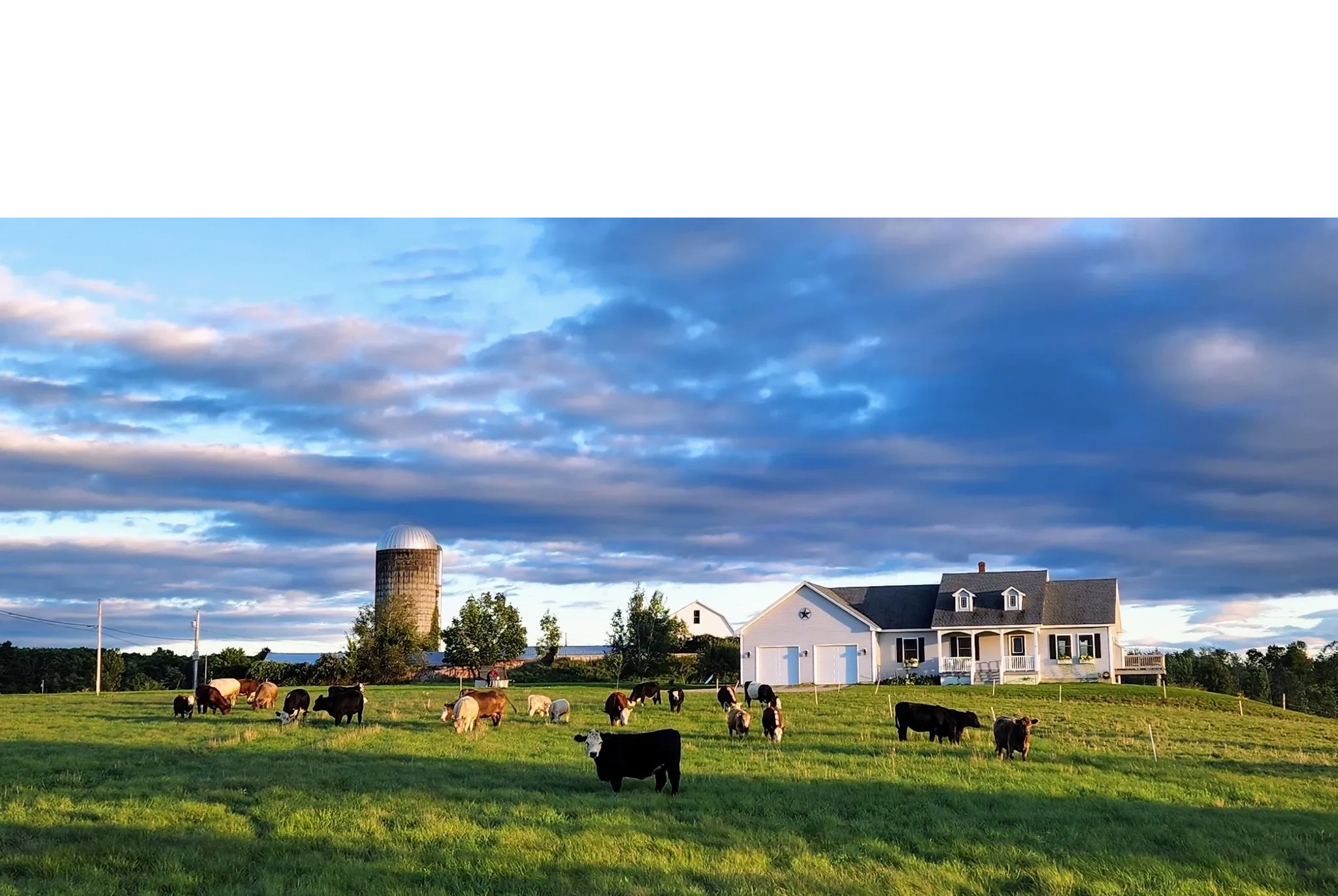 Shaw Farms — The Maine Field Guide