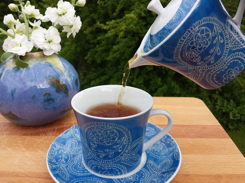 Tempest in a Teapot — The Maine Field Guide