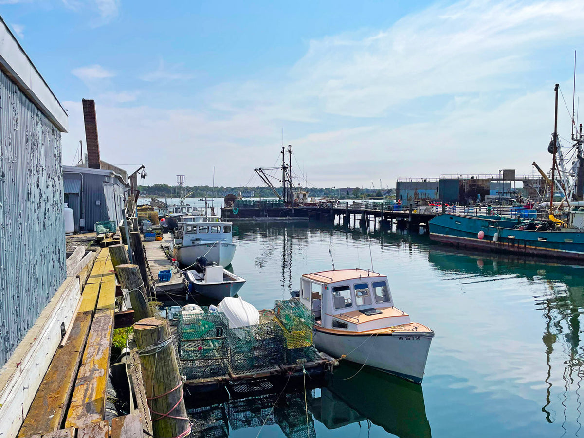 SoPo Seafood — The Maine Field Guide