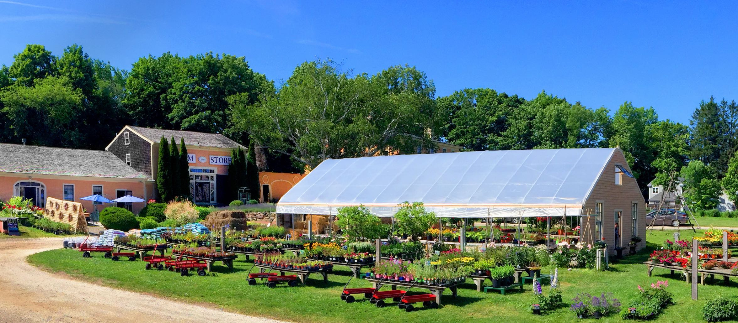 Wallingford Farm — The Maine Field Guide
