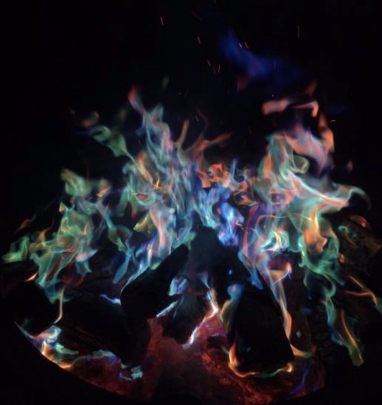 Colored Flames — The Maine Field Guide