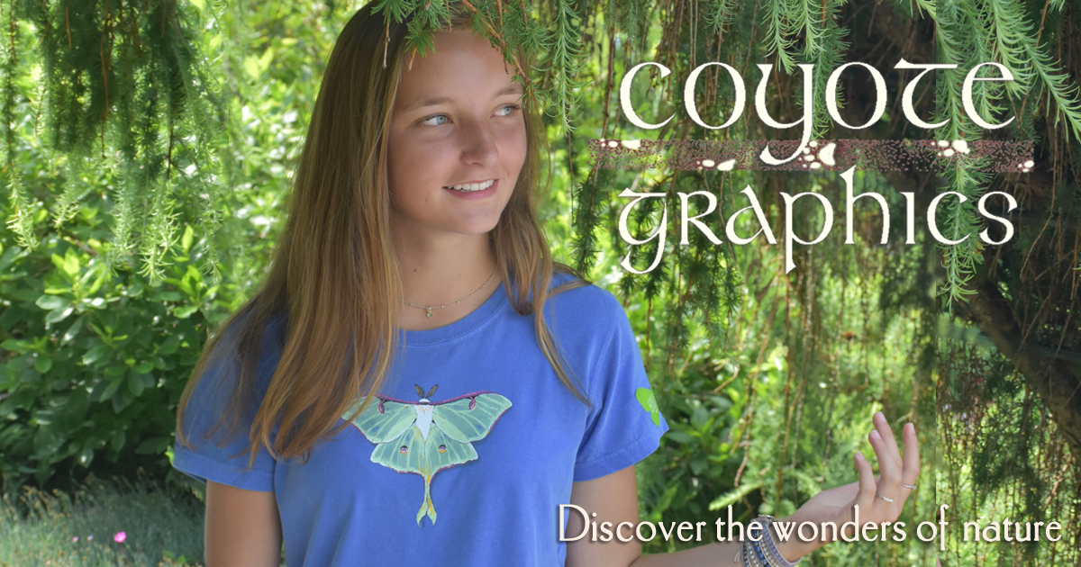 Coyote Graphics