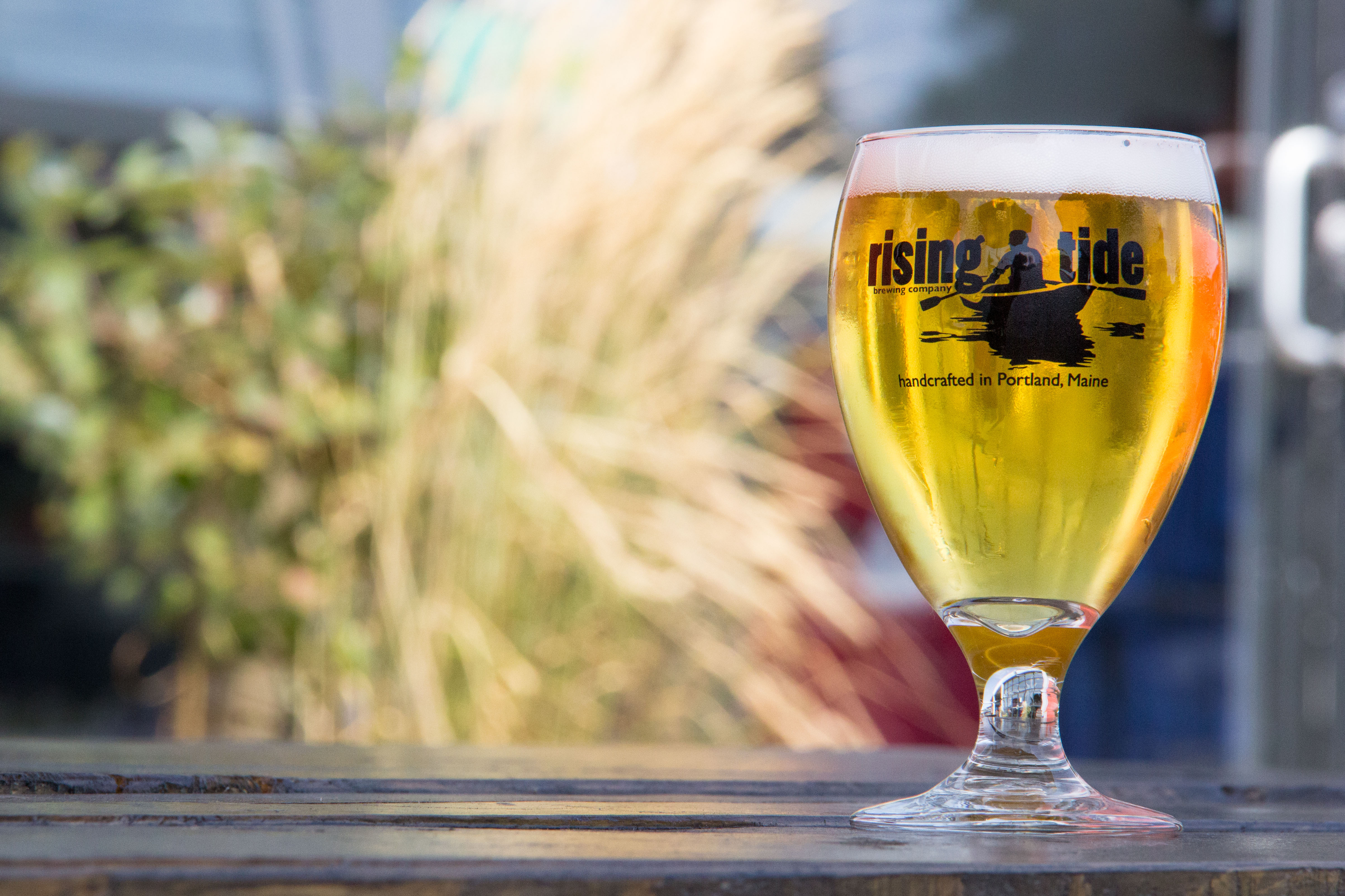 Rising Tide Brewing Company — The Maine Field Guide