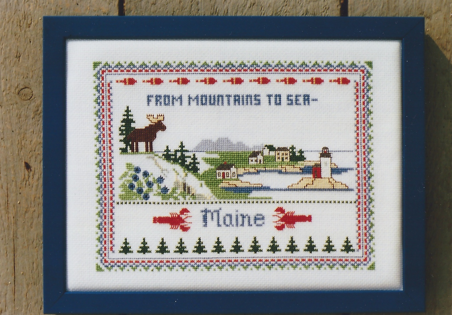 Seguin Designs — The Maine Field Guide