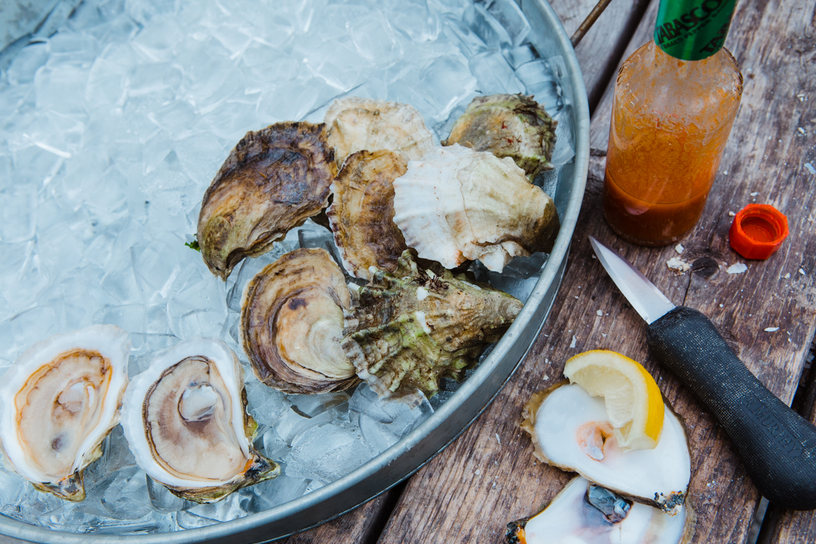 Glidden Point Oyster Farm — The Maine Field Guide