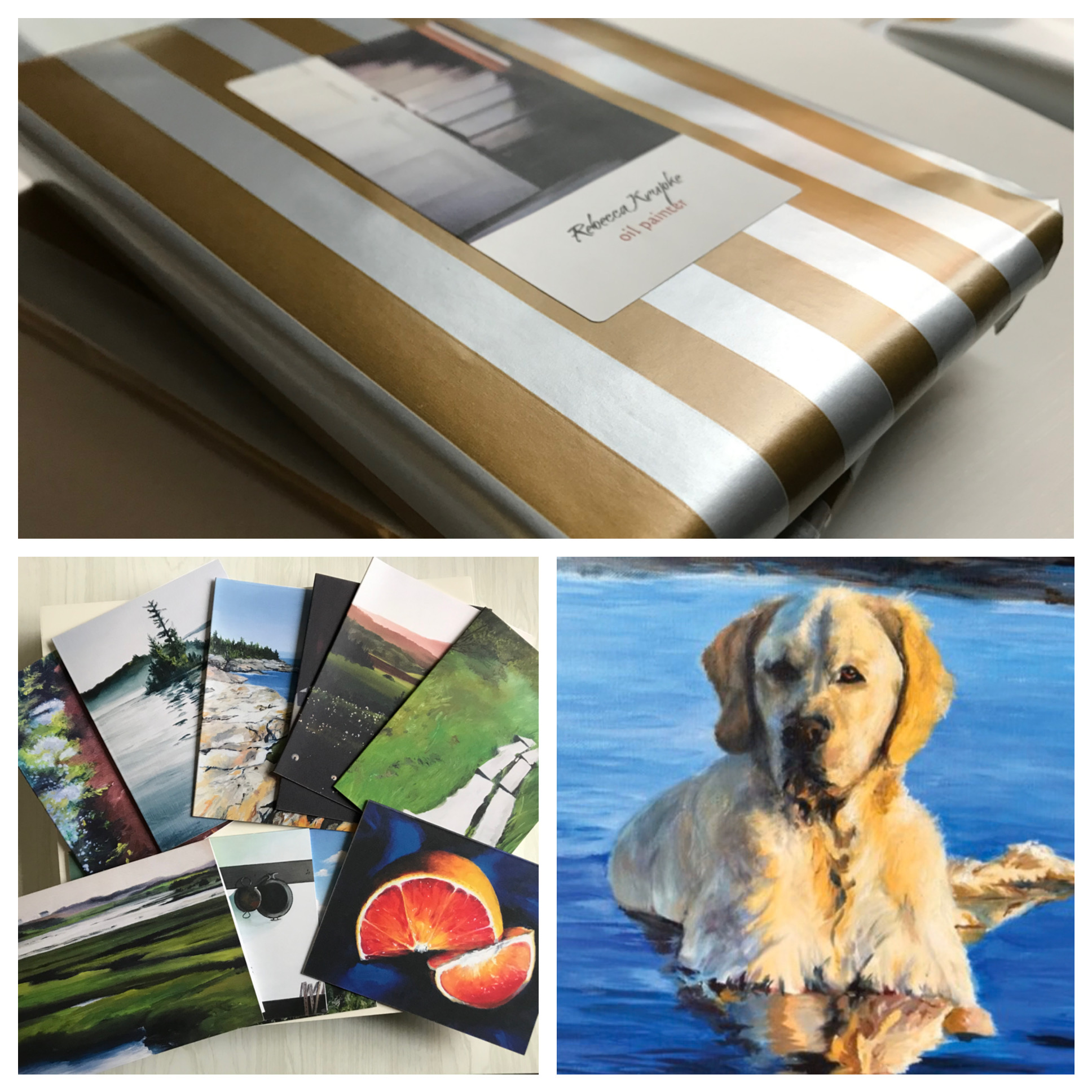 Rebecca Krupke Studios — The Maine Field Guide