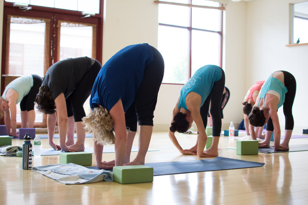 Greener Postures Yoga