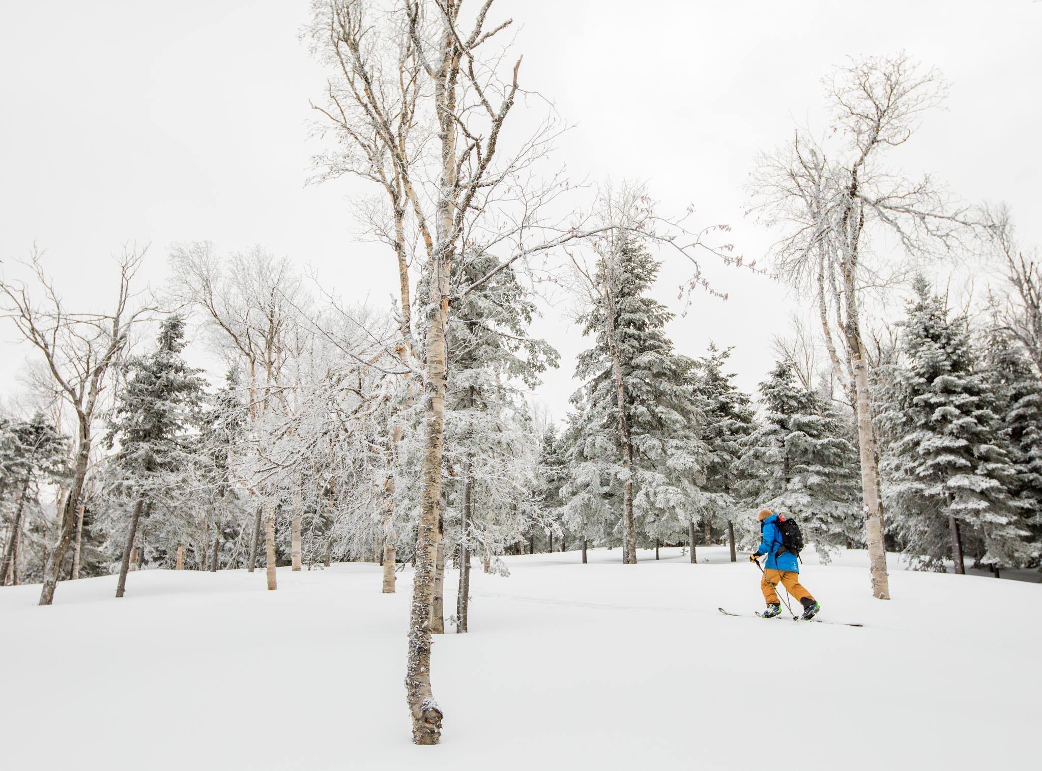 Amalgam Skis — The Maine Field Guide