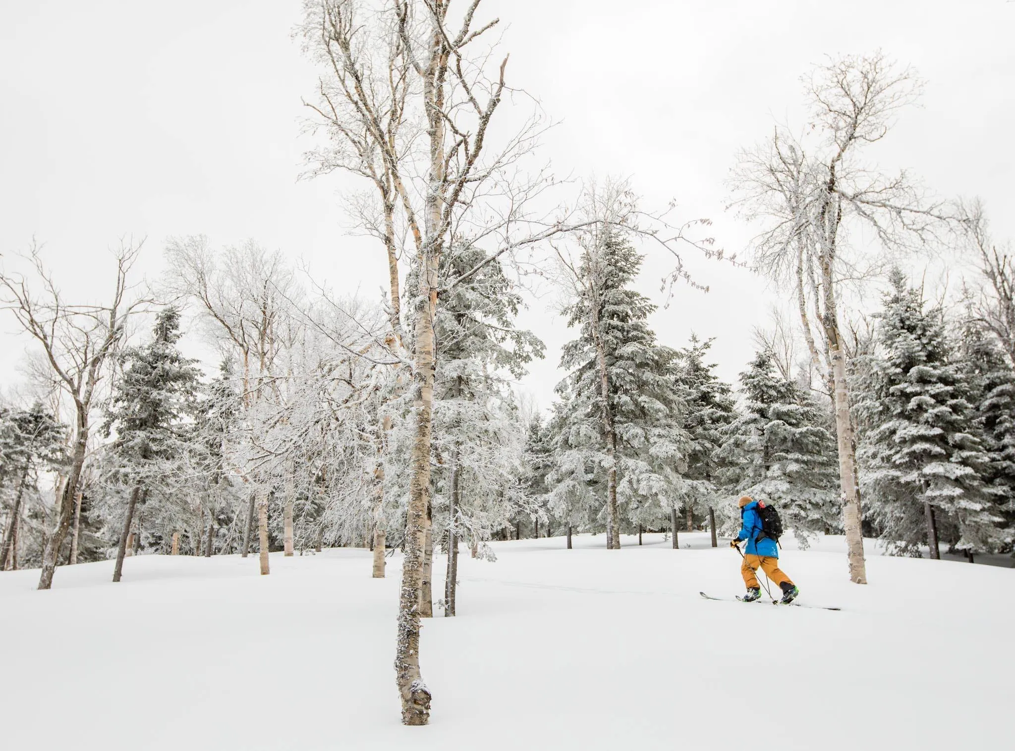 Amalgam Skis — The Maine Field Guide