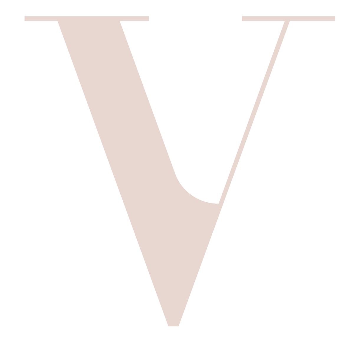 V Design Icon
