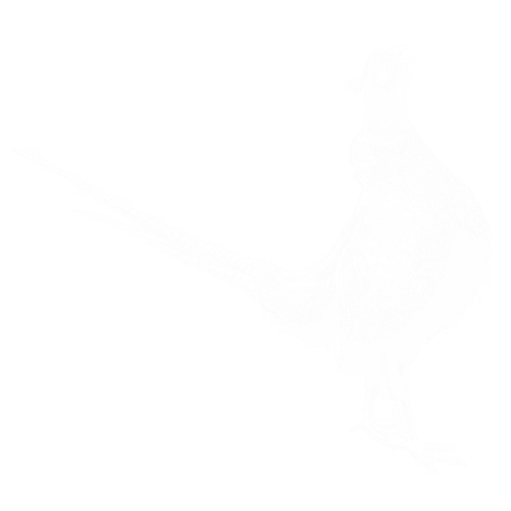 Ben Luna Lodge background pheasant