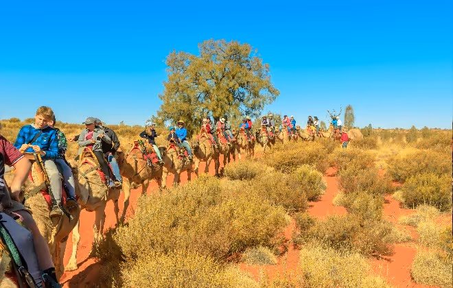 Take a camel ride at Uluru for a different perspective