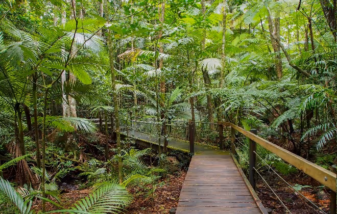 Discover this relaxed resort town in Far North Queensland