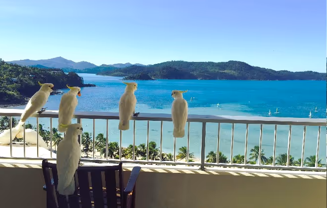 Discover the heart of the Whitsunday Islands